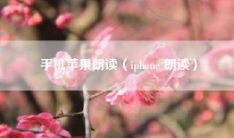 手机苹果朗读（iphone 朗读）