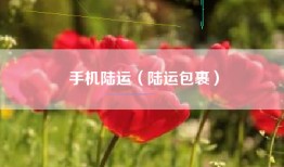 手机陆运（陆运包裹）