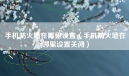 手机防火墙在哪里设置（手机防火墙在哪里设置关闭）