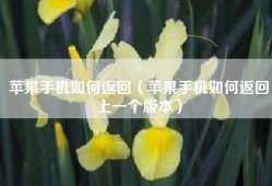 苹果手机如何返回（苹果手机如何返回上一个版本）