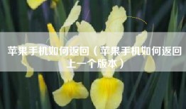 苹果手机如何返回（苹果手机如何返回上一个版本）