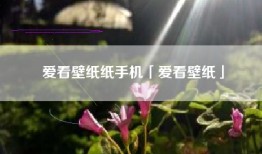 爱看壁纸纸手机「爱看壁纸」