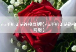 vivo手机无法连接网络（vivo手机无法链接网络）