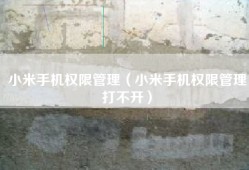小米手机权限管理（小米手机权限管理打不开）