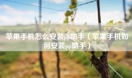 苹果手机怎么安装pp助手（苹果手机如何安装pp助手）