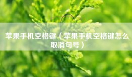 苹果手机空格键（苹果手机空格键怎么取消句号）