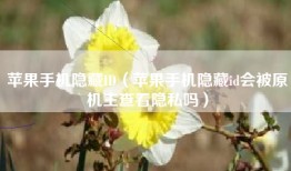 苹果手机隐藏ID（苹果手机隐藏id会被原机主查看隐私吗）