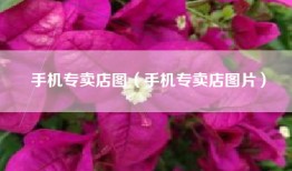 手机专卖店图（手机专卖店图片）