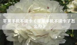 苹果手机不读卡（苹果手机不读卡了怎么办）