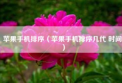 苹果手机排序（苹果手机排序几代 时间）