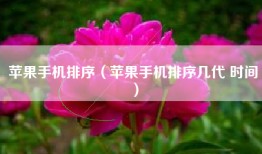 苹果手机排序（苹果手机排序几代 时间）