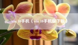 win 10手机（win 10手机版下载）