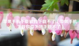 苹果手机下载软件下载不了（苹果手机下载软件为啥下载不了）