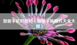 智能手机的图片（智能手机图片大全大图）