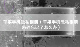 苹果手机隐私相册（苹果手机隐私相册密码忘记了怎么办）