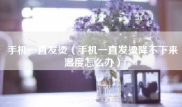 手机一直发烫（手机一直发烫降不下来温度怎么办）