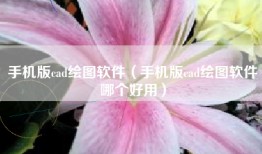 手机版cad绘图软件（手机版cad绘图软件哪个好用）