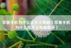 苹果手机为什么连不上电脑（苹果手机为什么连不上电脑蓝牙）