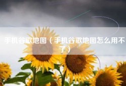 手机谷歌地图（手机谷歌地图怎么用不了）