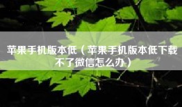 苹果手机版本低（苹果手机版本低下载不了微信怎么办）