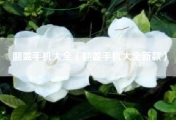 翻盖手机大全（翻盖手机大全新款）