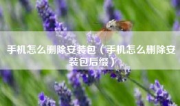手机怎么删除安装包（手机怎么删除安装包后缀）