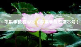 苹果手机看版本（苹果手机看版本号）