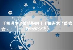 手机进水了能修好吗（手机进水了能修好吗多少钱）