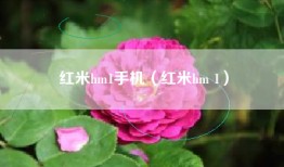 红米hm1手机（红米hm 1）