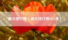 最火排行榜（最火排行榜2024年）