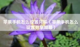苹果手机怎么设置共享（苹果手机怎么设置共享屏幕）