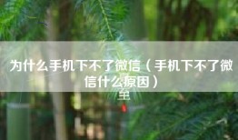 为什么手机下不了微信（手机下不了微信什么原因）