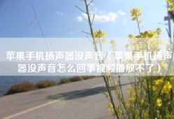 苹果手机扬声器没声音（苹果手机扬声器没声音怎么回事视频播放不了）