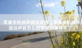 苹果手机扬声器没声音（苹果手机扬声器没声音怎么回事视频播放不了）
