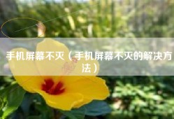 手机屏幕不灭（手机屏幕不灭的解决方法）