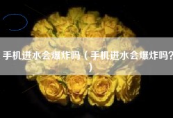 手机进水会爆炸吗（手机进水会爆炸吗？）