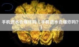 手机进水会爆炸吗（手机进水会爆炸吗？）