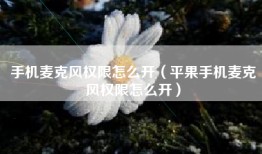手机麦克风权限怎么开（平果手机麦克风权限怎么开）