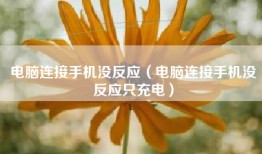 电脑连接手机没反应（电脑连接手机没反应只充电）