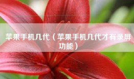 苹果手机几代（苹果手机几代才有录屏功能）