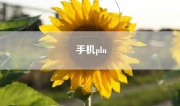 手机pln