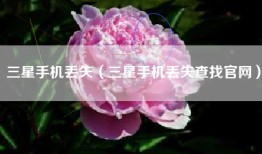 三星手机丢失（三星手机丢失查找官网）
