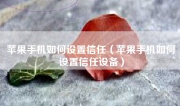 苹果手机如何设置信任（苹果手机如何设置信任设备）