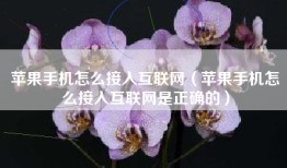 苹果手机怎么接入互联网（苹果手机怎么接入互联网是正确的）