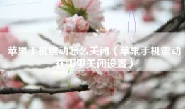 苹果手机震动怎么关闭（苹果手机震动在哪里关闭设置）