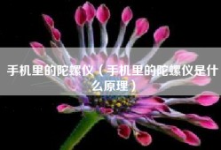 手机里的陀螺仪（手机里的陀螺仪是什么原理）