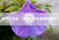 骁龙845手机（骁龙845手机都是有哪些）