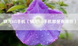 骁龙845手机（骁龙845手机都是有哪些）