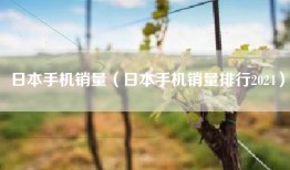 日本手机销量（日本手机销量排行2024）