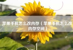 苹果手机怎么改内存（苹果手机怎么改内存空间）